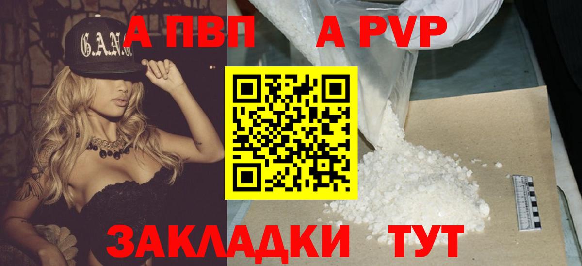 Альфа ПВП СК Бердск