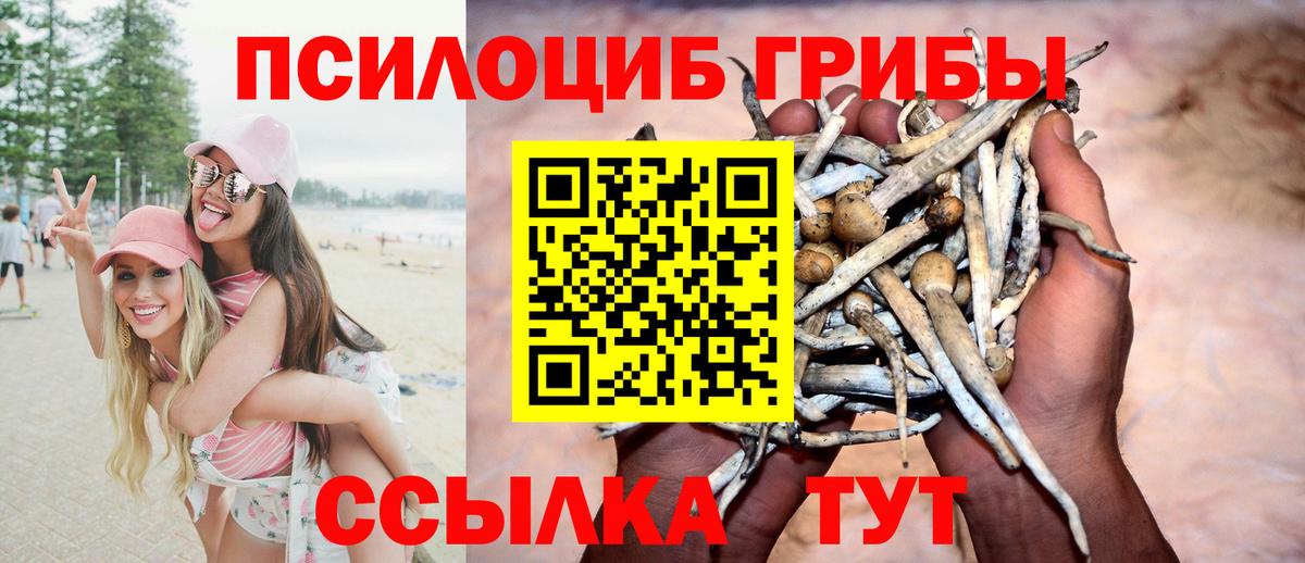 Псилоцибиновые грибы ЛСД Бердск